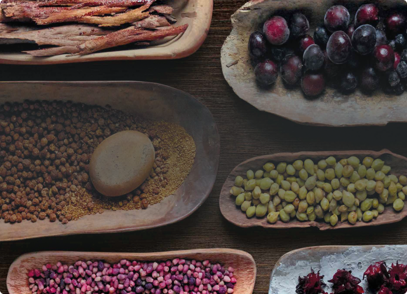 Seeds and fruit on plates