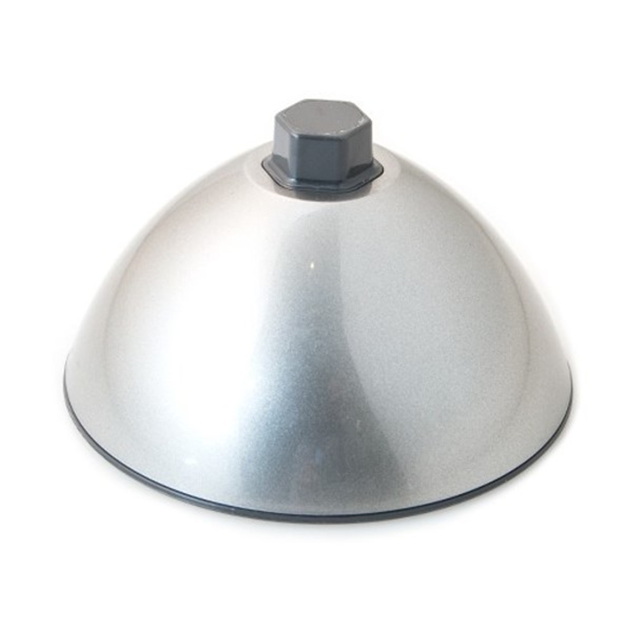 Fruit Dome–Silver