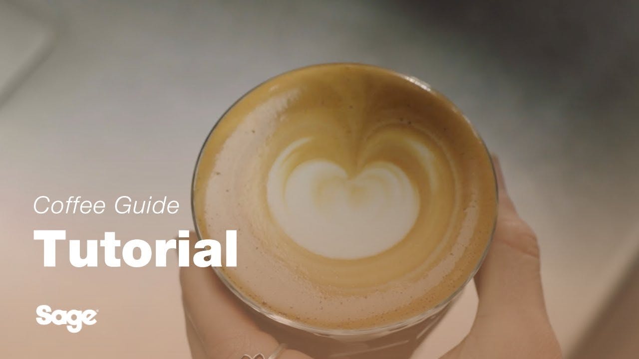 Breville coffee guide tutorial - How to create latte art: the dot